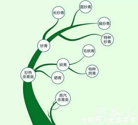 炒、烘、蒸、晒,你的绿茶是哪样“菜”?