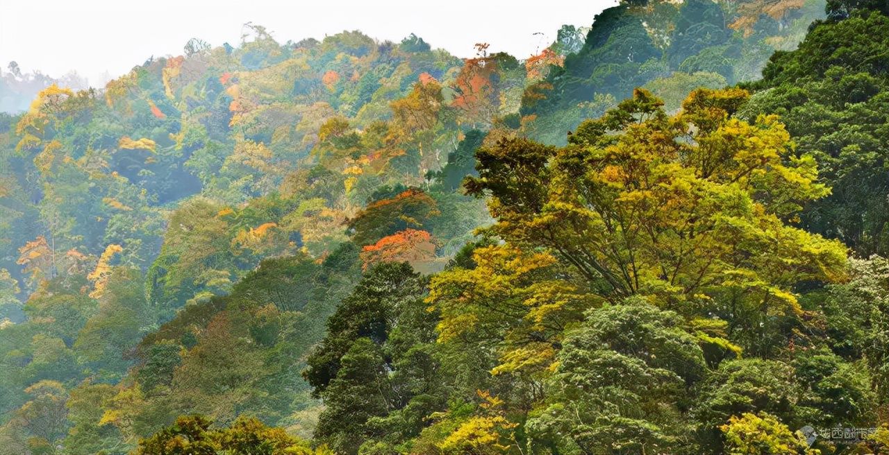 龙门山脉|走进天府旅游名村｜枕山望水，茶香悠悠