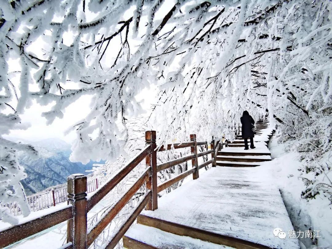 好美!三月的光雾山下雪了