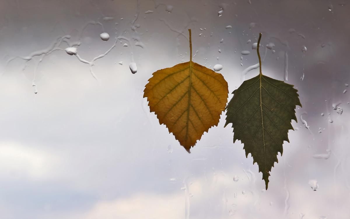 陆游@五首读了就觉得悲伤的古诗词,字字写尽人间悲伤,闻者皆为其所动