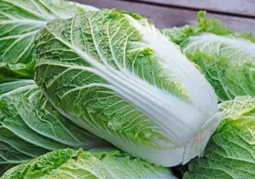 食物|助长寿大排名,此食物竟然是“长寿王”?你经常吃哪几种?