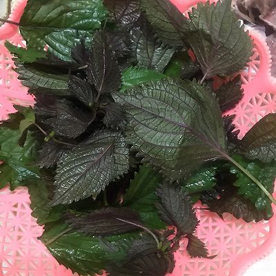 细砂糖|紫苏蒸排骨