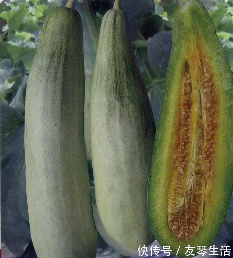 水溶性膳食纤维|对身体不错的3种食物,坚持每天吃一些,补充营养,身体棒棒哒!