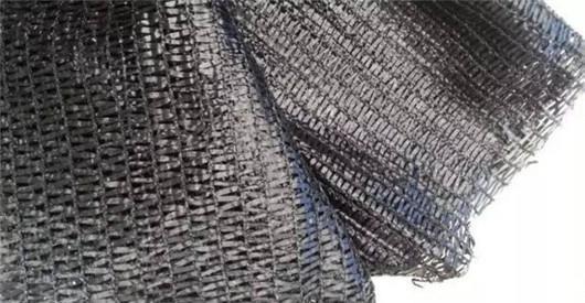 遮阳网|夏天来了不懂此些花卉降温方法,难怪你的花都死了