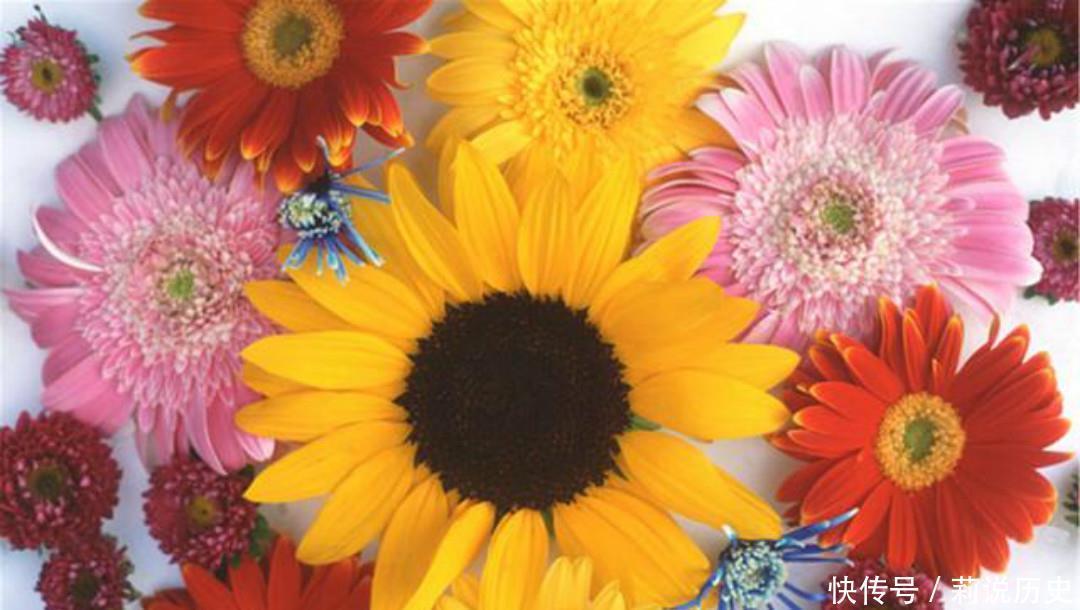 落魄|晚唐落魄才子吴融,一生命运多舛,写下的这首《卖花翁》句句伤感