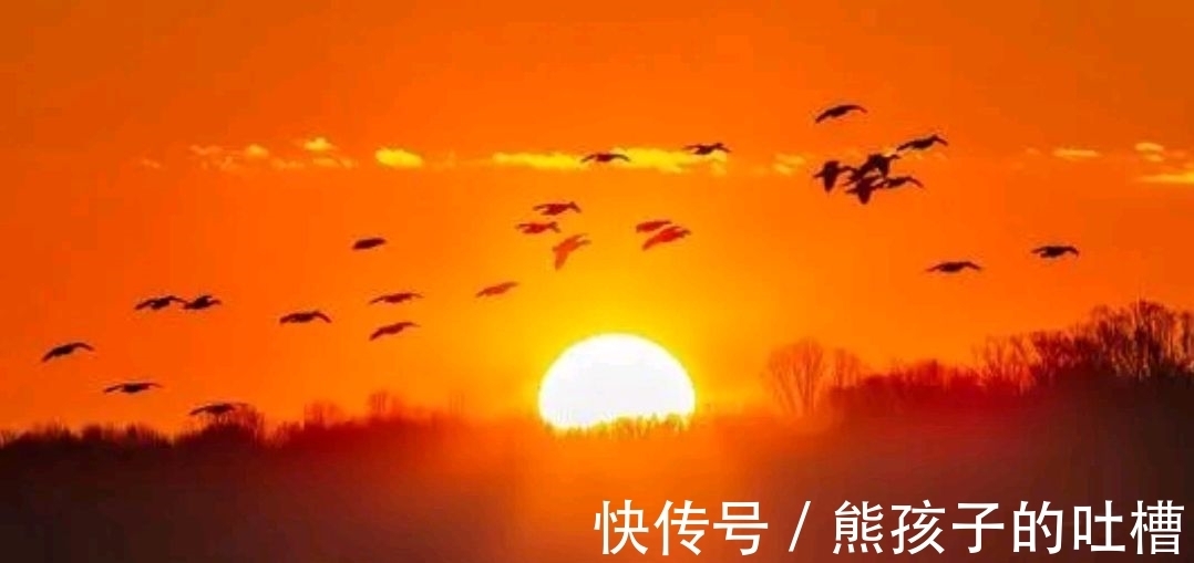 野渡征联|野渡征联第三期:晴窗徊雁影,诚征下联