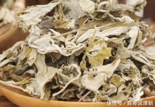 8个夏季驱蚊小妙招,无毒无害效果好,学会告诉家里人