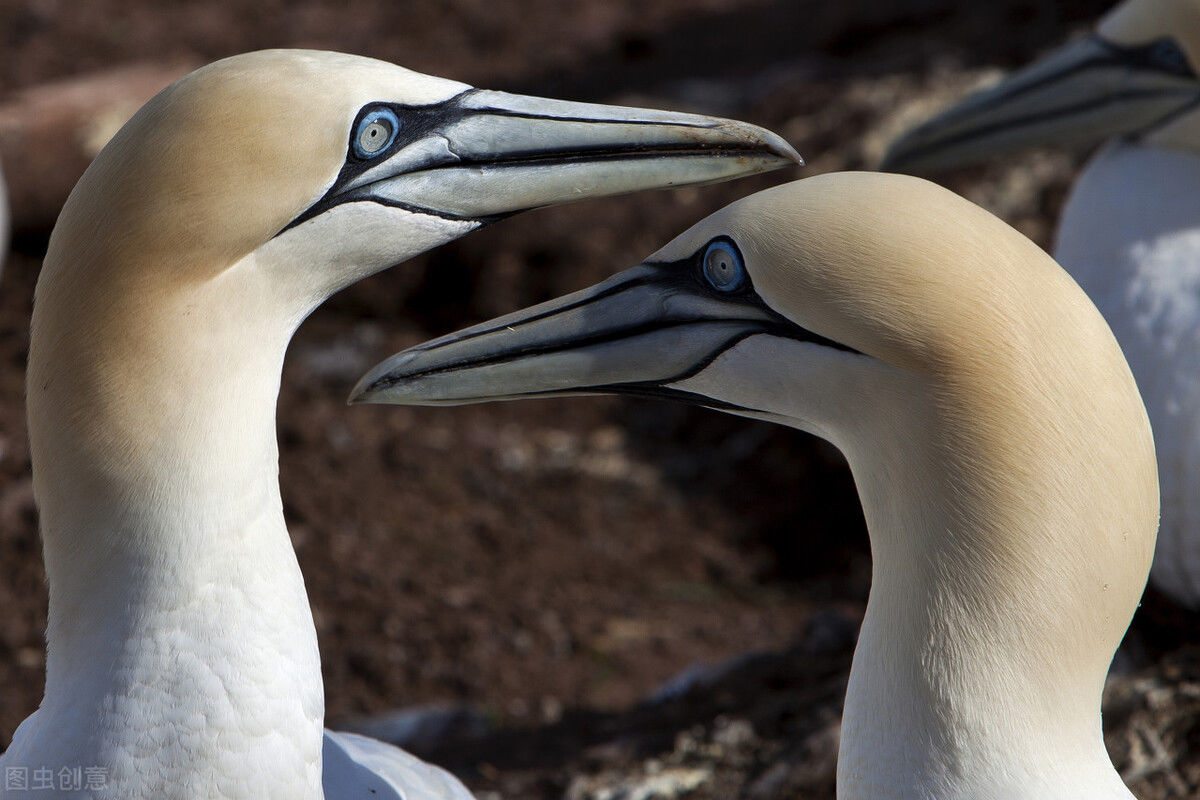 自信心|找到了正确的跑步姿势,一天跑多远完全看心情