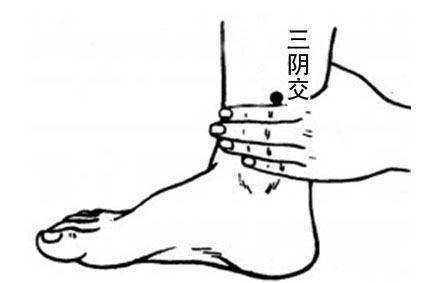 老中医|脾,后天之本!老中医带你品味人体脾经大药!补脾通络,胜吃补药