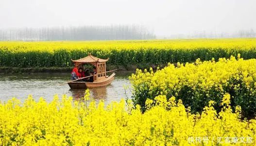 淋一场烟雨，遇一场花事，9个三月花海刷屏的地方