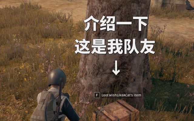 pubg|绝地求生最强假外挂，使用者流泪哭诉，官方都忍不住点赞