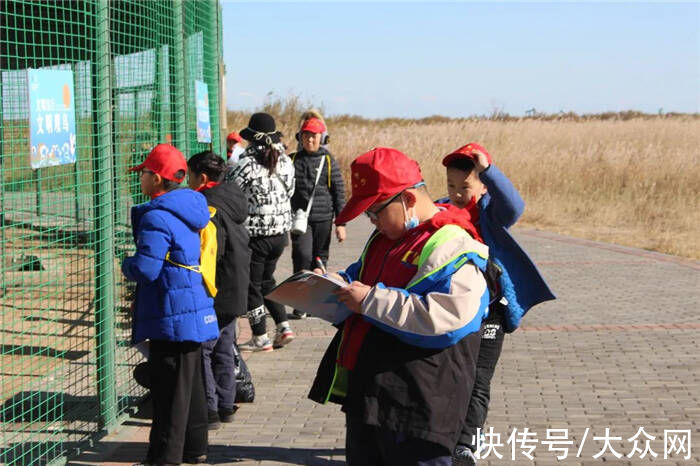 初冬|看芦花飞雪、观候鸟齐飞！赏初冬醉美黄河入海口