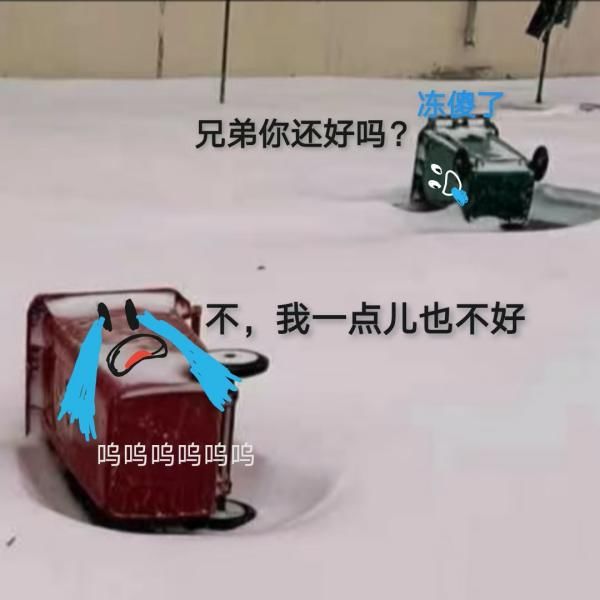 快乐|两个下雪热搜！南方大学生：是我体会不到的快乐...