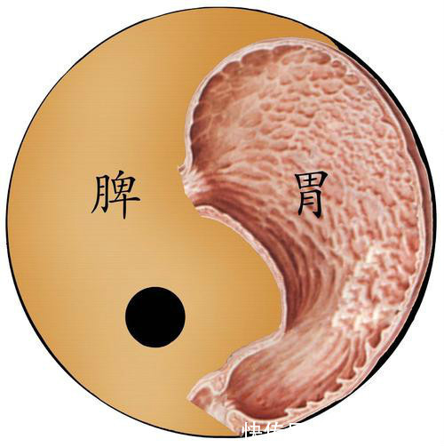 养舌|舌头总有裂纹,脾虚!一张方子,健脾养舌,令人深思