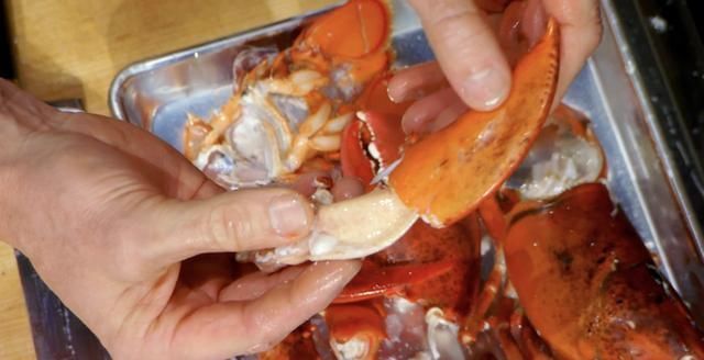米其林|米其林大厨戈登拉姆齐，完美无痛拆龙虾肉，只需7步骤轻松上手