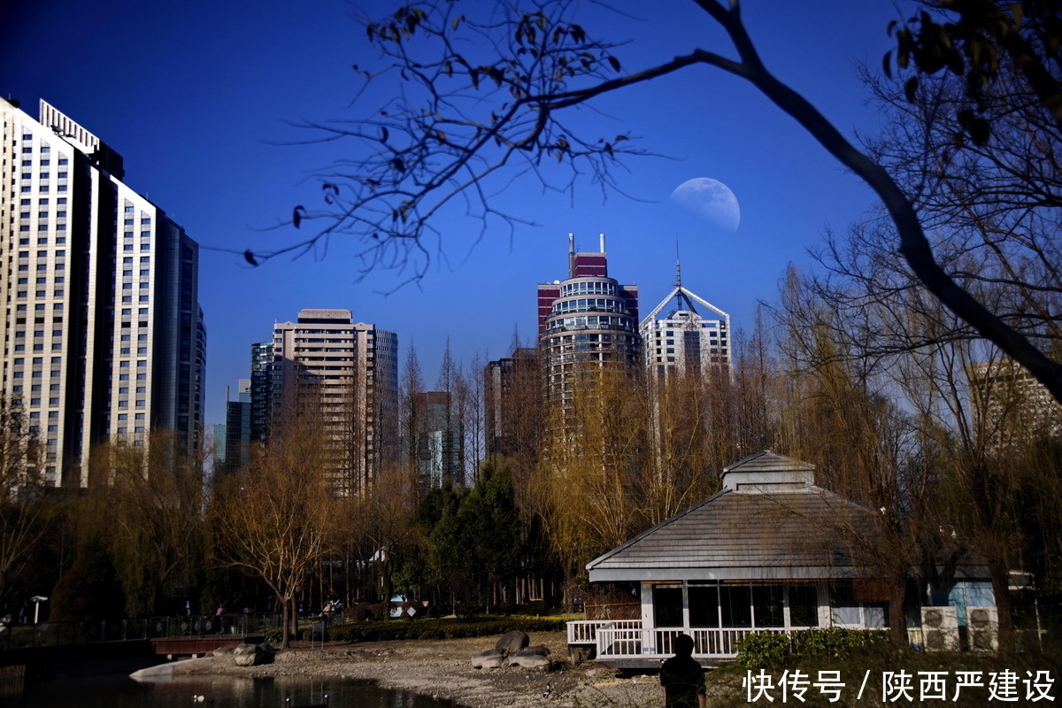 老年|新虹口花园的玉兰花开了【严建设】