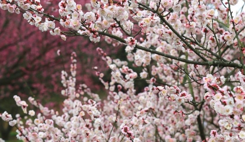 一日穿越四朝，恍若梦回千年