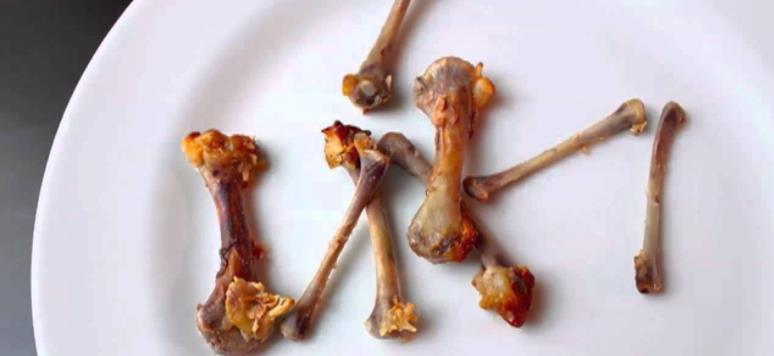 家有“3样废物”养花不用买肥料,知道为什么、该怎么用吗?