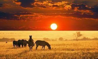 非洲与欧亚大陆对比,分析非洲为何没有强大的游牧文明和农耕文明