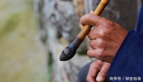 农村一种大叶植物,被称为影响男人生活的“四大发明”之一