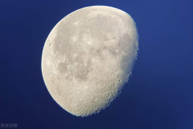 工艺|智能科技融入宠物行业,生产工艺变革,猫窝/狗窝也能变网红