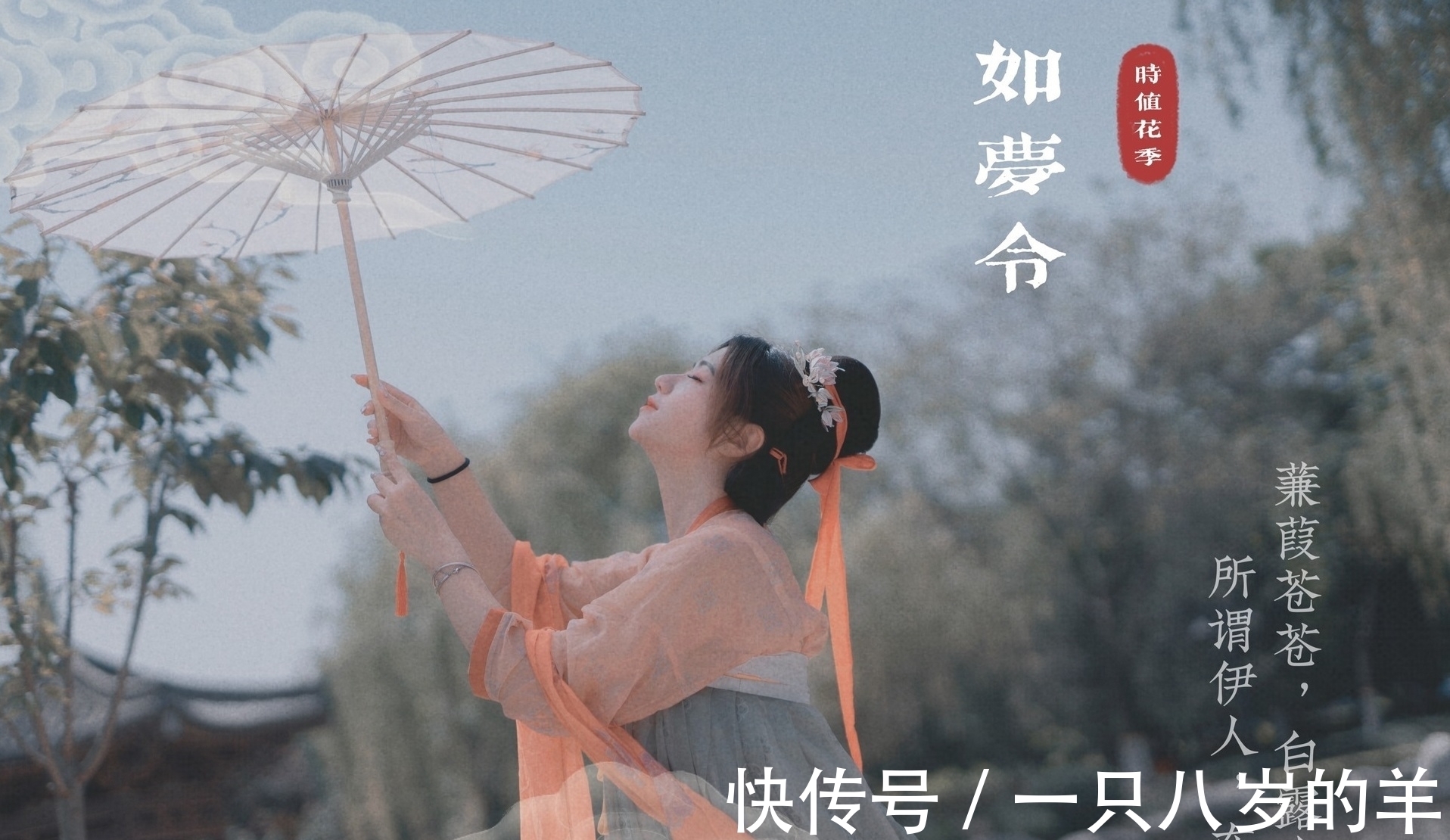 雏子&七言绝句:慈母手中线