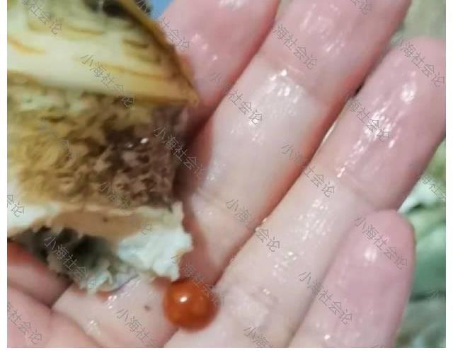 蚌埠|安徽：女子吃海螺吃出稀有珠子，疑似价值连城，有网友出价50000