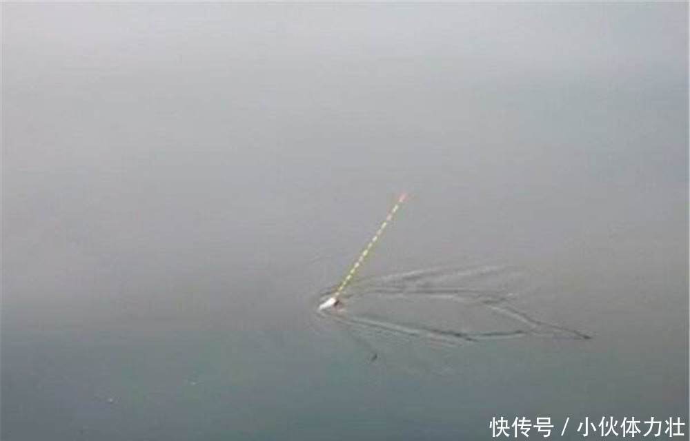 鲤鱼咬钩的经典漂相,出现这些漂相时,心跳加速,一定是大鲤鱼!