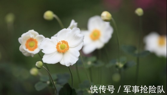 桃花|2周后，红鸾星动，桃花再现，前缘难舍，痴情一片，邂逅此生挚爱