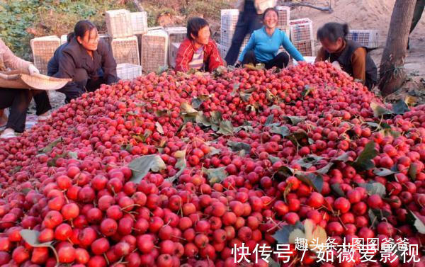 家长|男孩4岁身高已达126CM，完全靠爷爷的这个消食妙招，值得家长借鉴