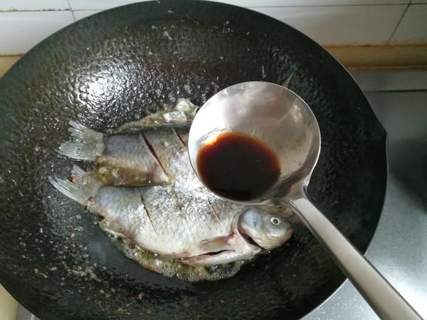 甲鱼|被“误解”最深的鱼，它的全身是宝，比甲鱼营养，一斤5元没人买