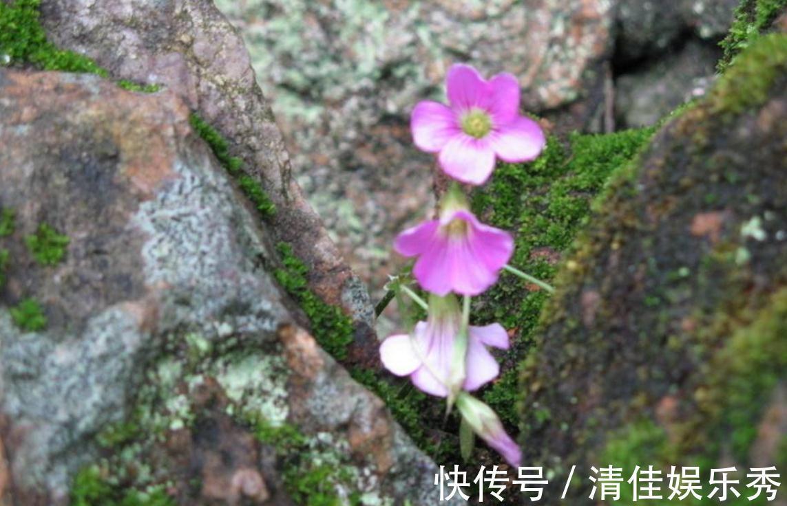 在乎你!做人要懂得:即使关系再好,这四件事也不要告诉别人,原因很现实