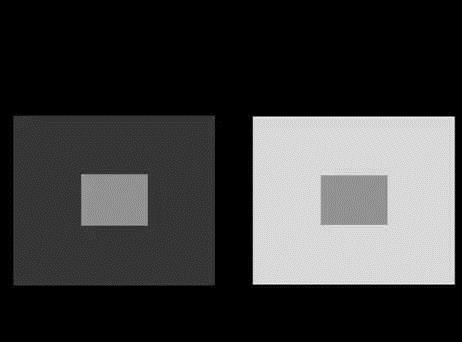 老年人大脑健康测试图片中有多少人找到21个的大脑无与伦比