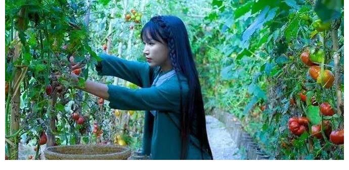 李子柒終于被點醒，欲翻身當主人，卻遭字節(jié)跳動退出