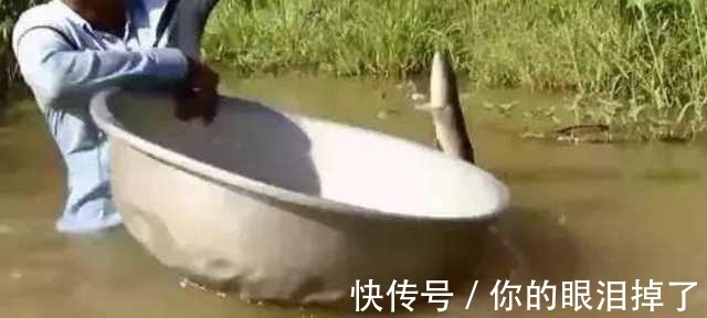 众人|农村男子拿着大盆去钓鱼,收获颇丰,方法让众人惊喜