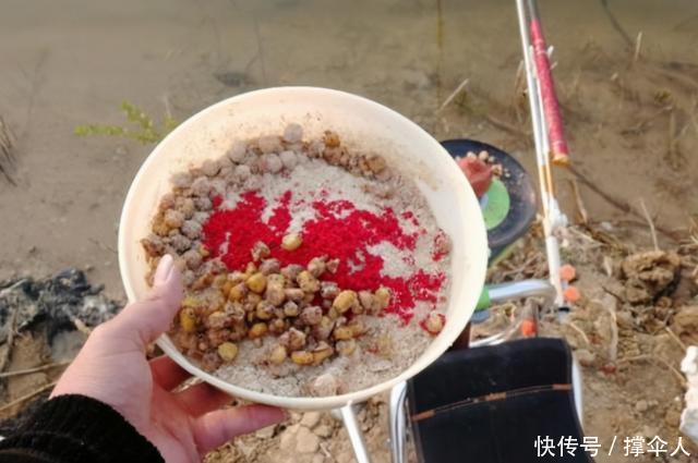 水草|一提冬钓,我只喜欢用这方法对付鲫鱼---皇禾钓具