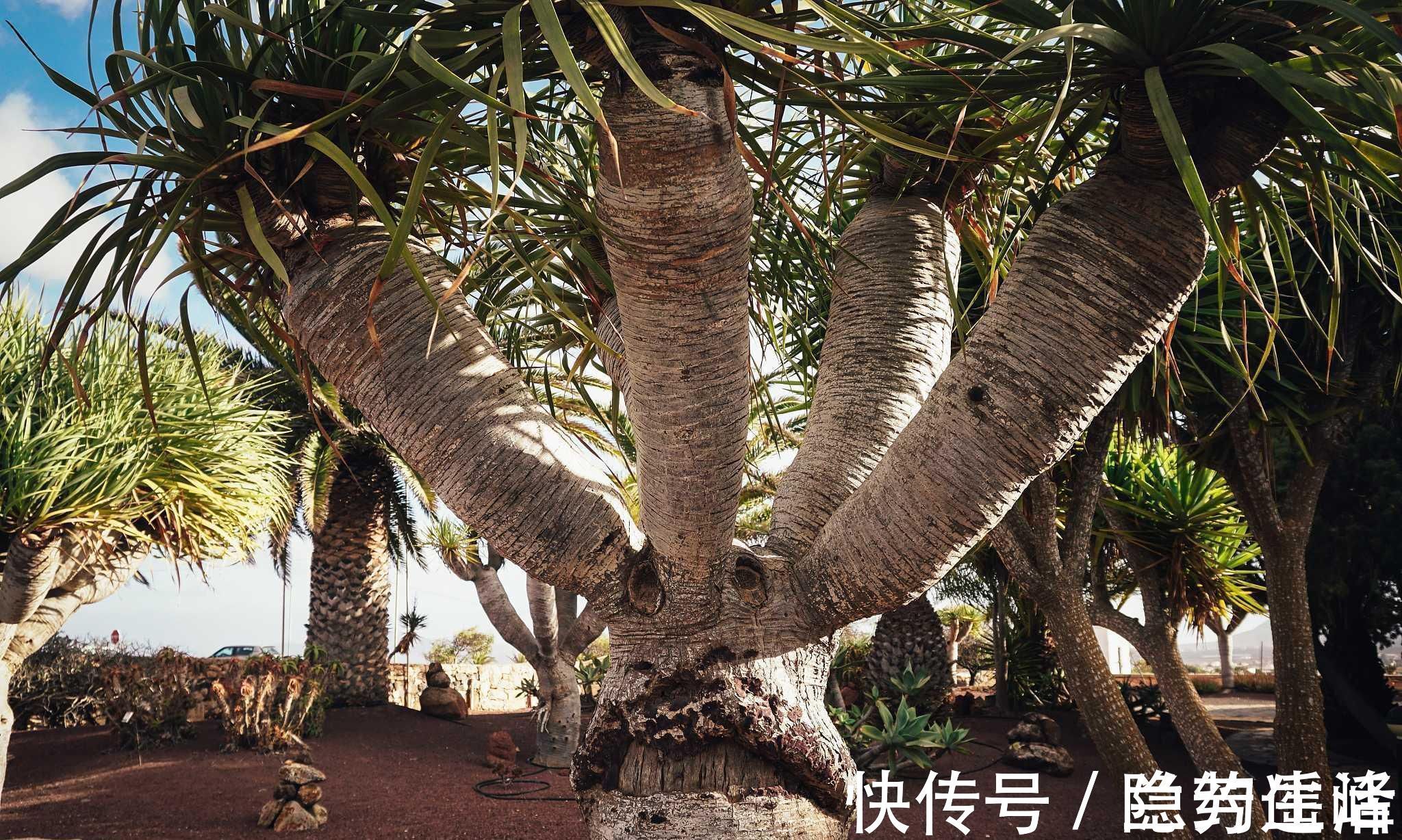 颈联@唐代诗僧的一个古怪行为,在这39首诗中得到诠释,原来这叫个性