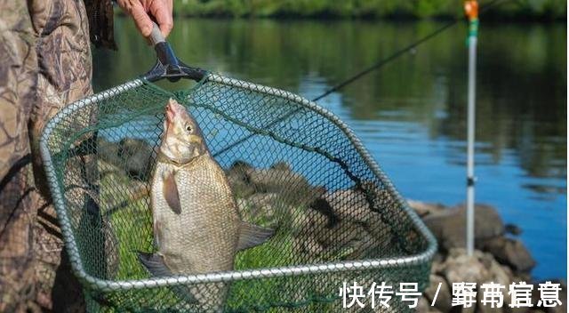 钓鱼高手分享如何选择鱼钩,只买这四种钩型就够了,绝对好用!