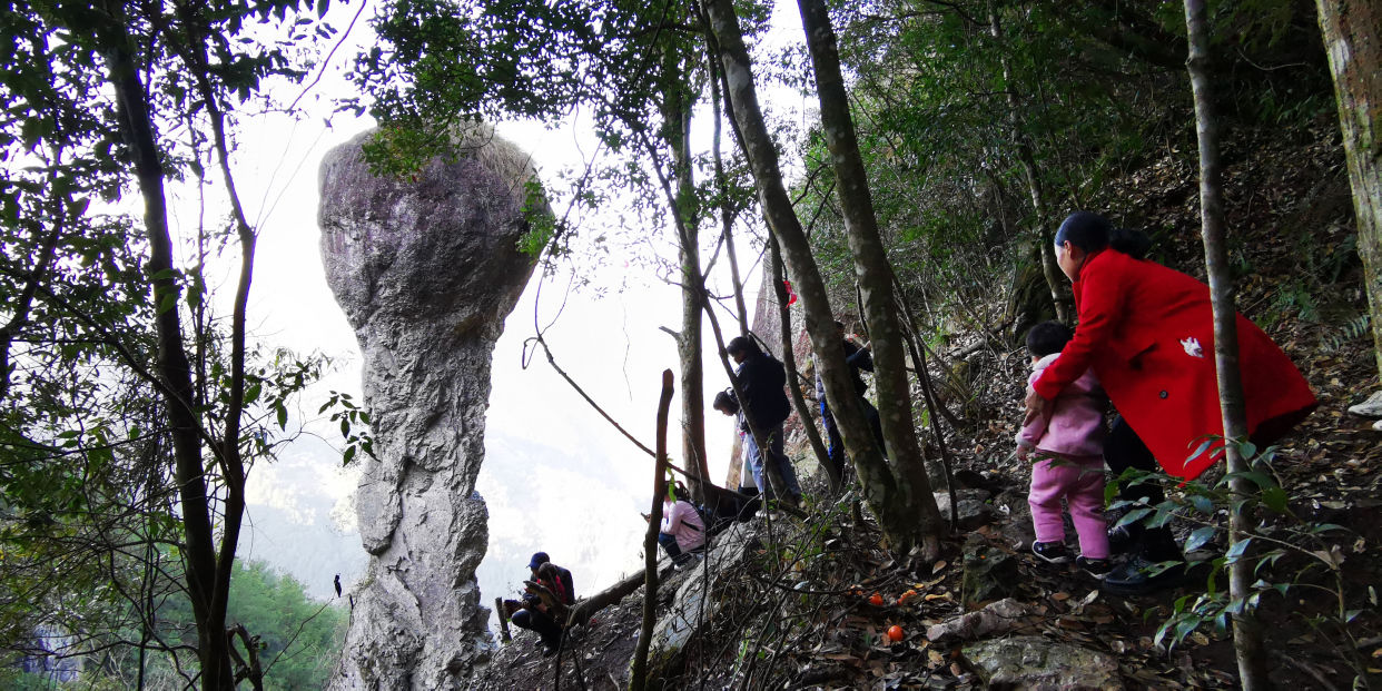 福建深山发现巨大蘑菇石，每天几千人爬山来看，到底长什么样？