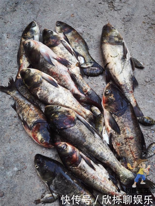 钓鱼小药并不神秘,自制比买的还要好,大部分自家厨房就有