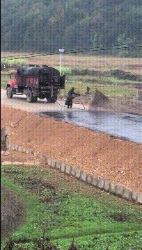 |搞笑GIF:朋友总让我来这看看,我也不知道什么意思