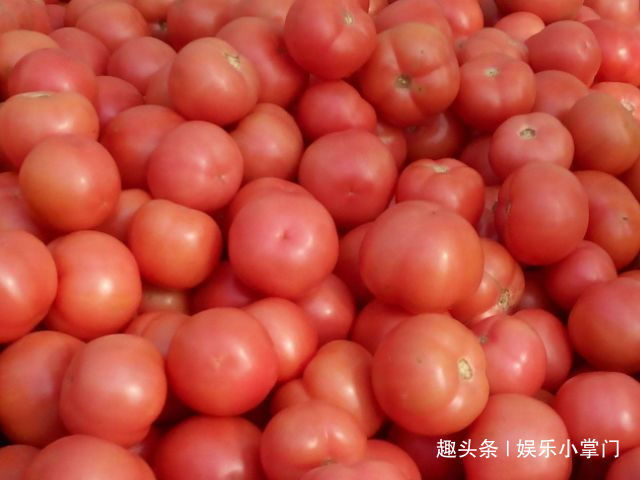 番茄红素|爱吃西红柿的要注意，西红柿不能和它一起煮，可别去自找麻烦