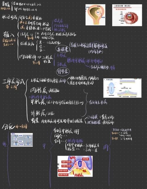 期末考必备“神器”，你拥有了吗？