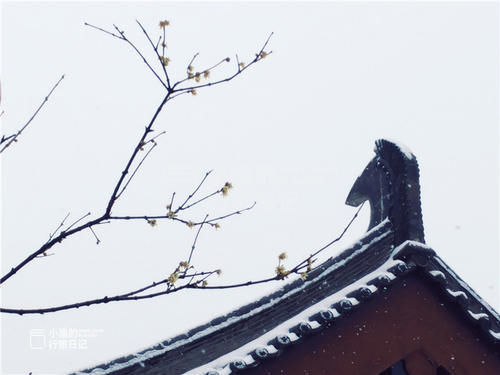 这才是西安最像“长安”的地方！人少景美还免费，好多游客会错过