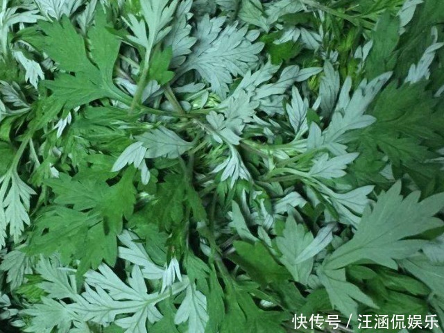 颈椎病|48岁妇女患颈椎病,竟用一把艾叶给治好了,颈椎不好的学起来