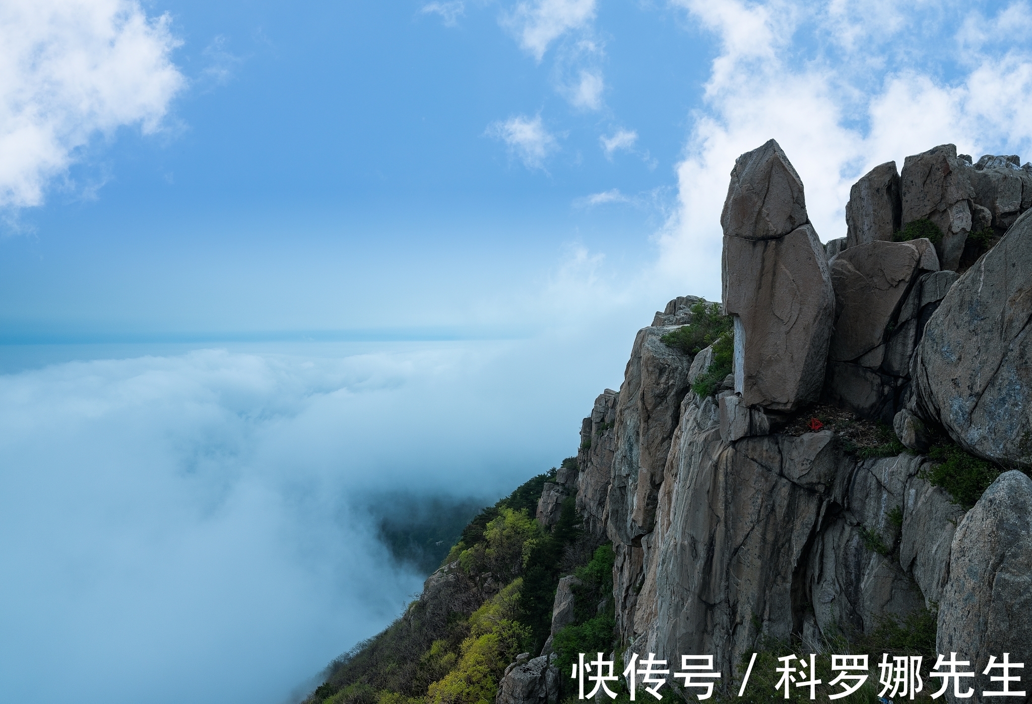 春夜喜雨@唐代伟大诗人:10首经典诗作写尽了一生的悲惨,写尽了岁月的忧愁