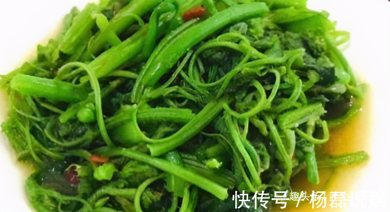 保肝护肝|人到中年,推荐常吃三种食物,能养肝明目,提高自身免疫力