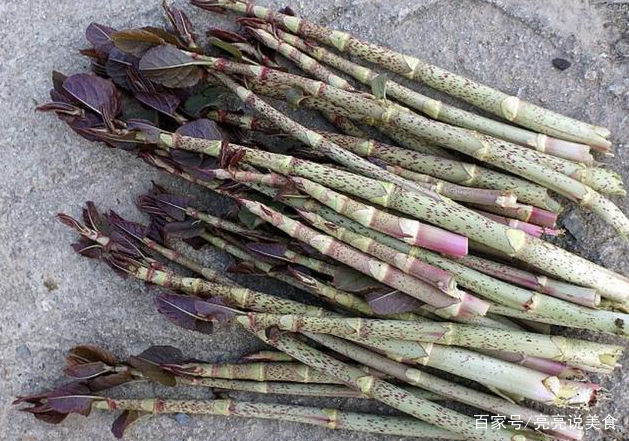 零嘴|这种野草25年前农村很多，小孩子当零嘴，大人用它炒菜，你吃过吗