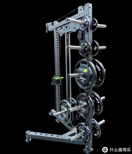 飞鸟|秋季健身滑轮系统飞鸟高低拉浅谈篇一