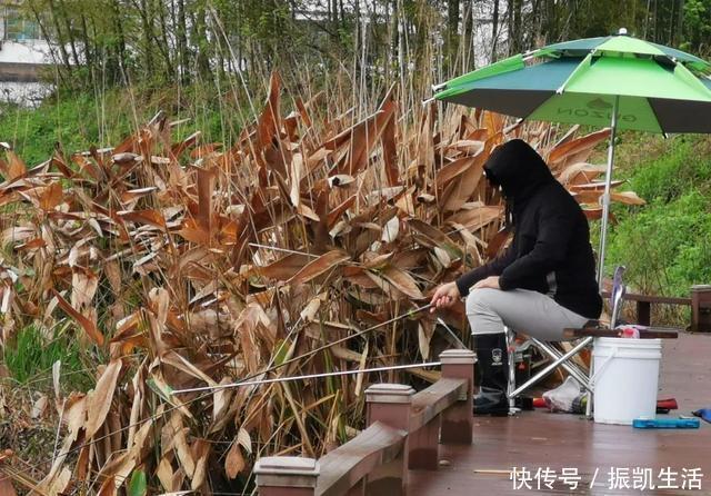 野钓|理想中的钓鱼VS现实中的钓鱼，新手看懵圈，老手看得扎心